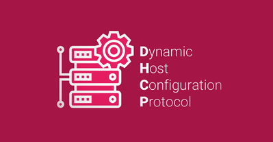 DHCP 协议