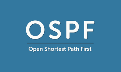 OSPF 协议